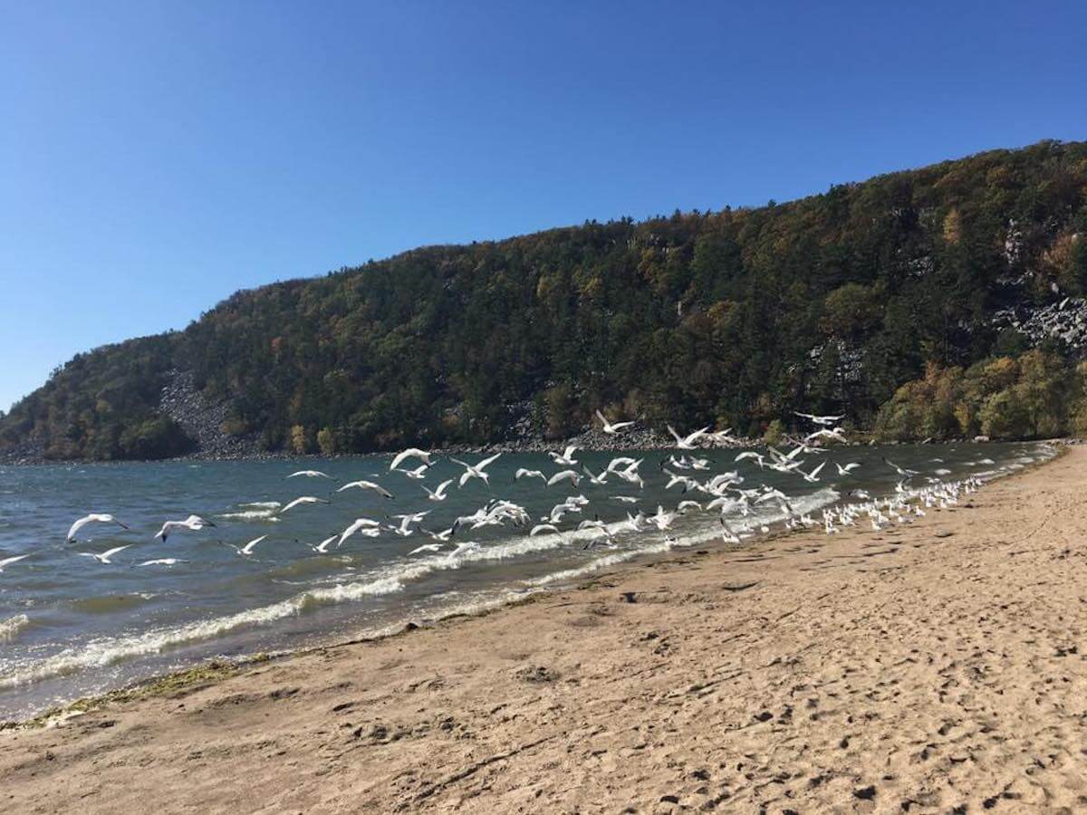 State Parks to Reopen, But Wisconsinites Still Need to Behave State Parks to Reopen, But Wisconsinites Still Need to Behave