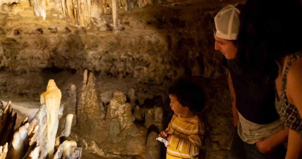 LOCAL NEWS - Up North News