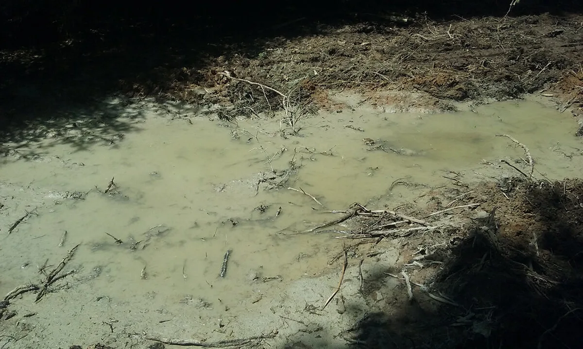 It Could Be A Decade Before Mining Returns To The Northwoods. Residents Are Still Worried. It Could Be A Decade Before Mining Returns To The Northwoods. Residents Are Still Worried.