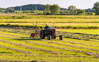 Wisconsin farms face a choice in 2024: New markets and more competition vs. budget cuts, millionaire tax breaks, and diesel fumes