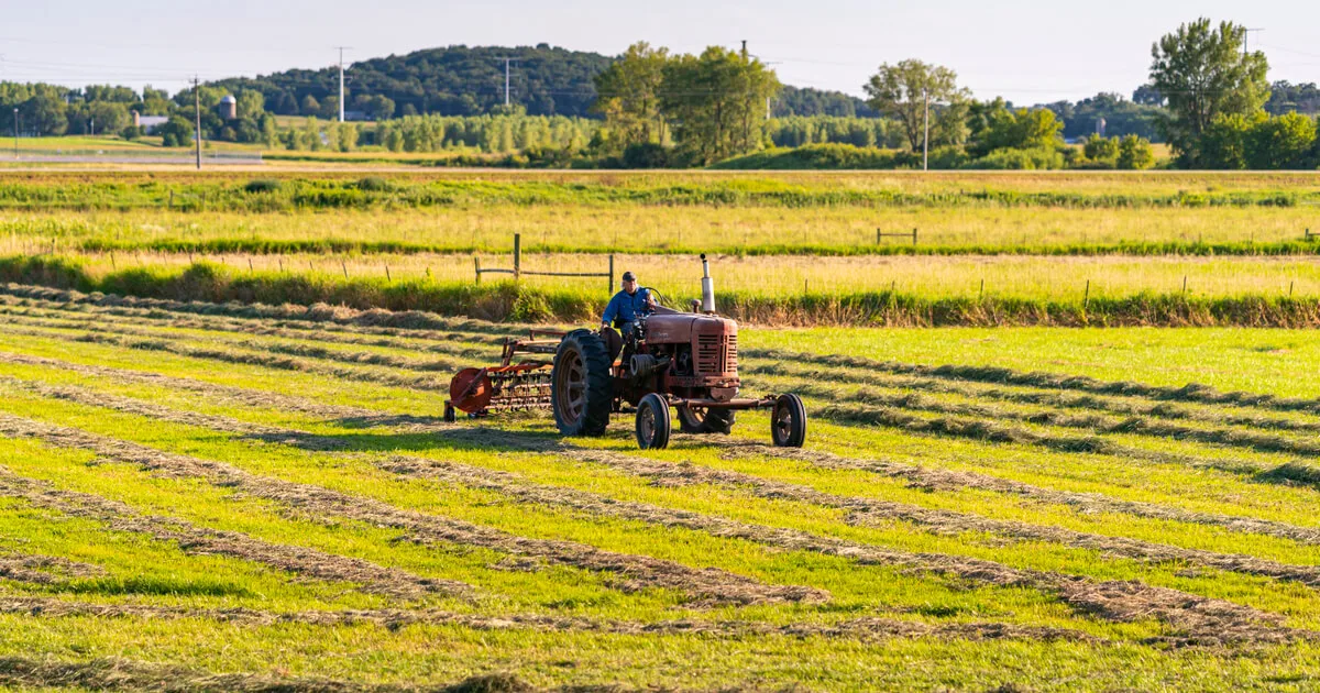 What the Future of Rural America Could Look Like After Trump What the Future of Rural America Could Look Like After Trump