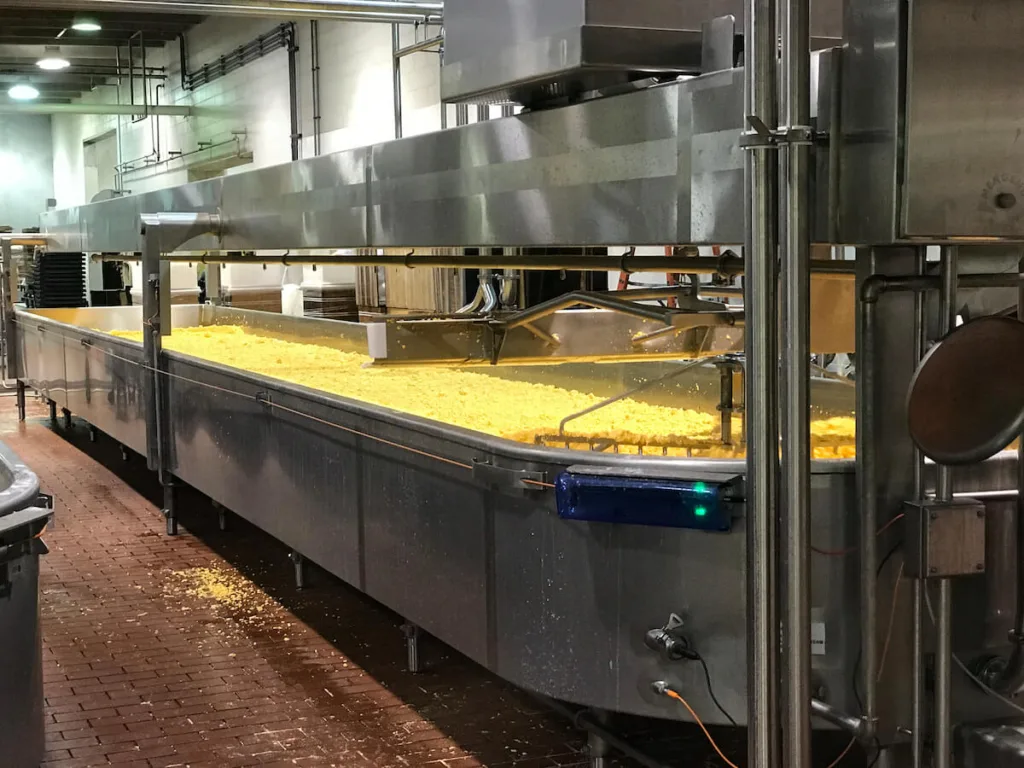Cheese curds being made at the Wisconsin Dairy State Cheese Company in Rudolph. (Image via Shutterstock)