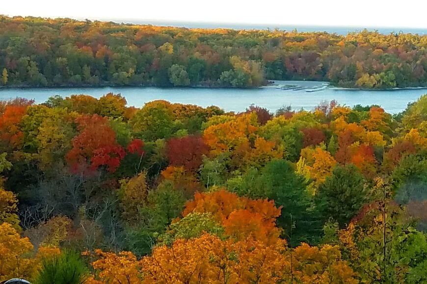 Fall Color Report: Find Out When Trees in Your Town Will Reach Their Peak