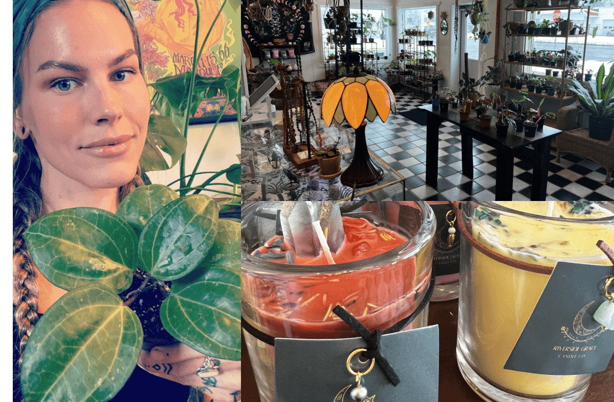 <strong>Small Business Spotlight: <em>The Groovy Plants</em></strong> <strong>Small Business Spotlight: <em>The Groovy Plants</em></strong>