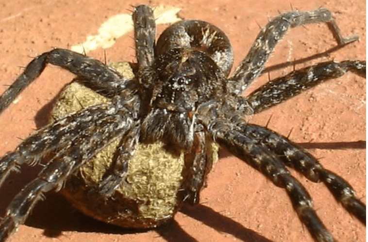 Uncategorized - Up North News