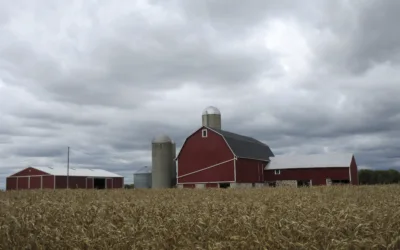 Wisconsin dairy industry to take big hit under Trump’s deportations