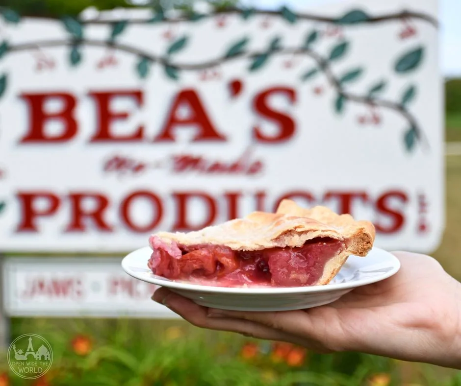 LIFESTYLE - Up North News