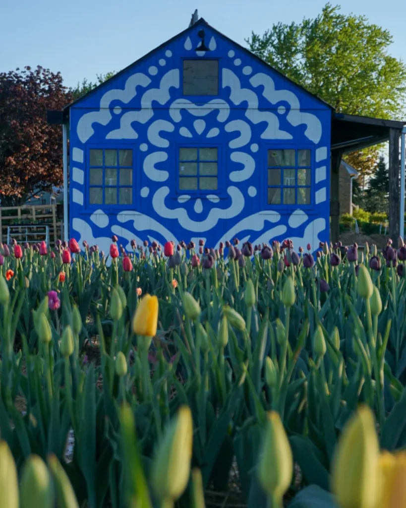 THINGS TO DO - Up North News