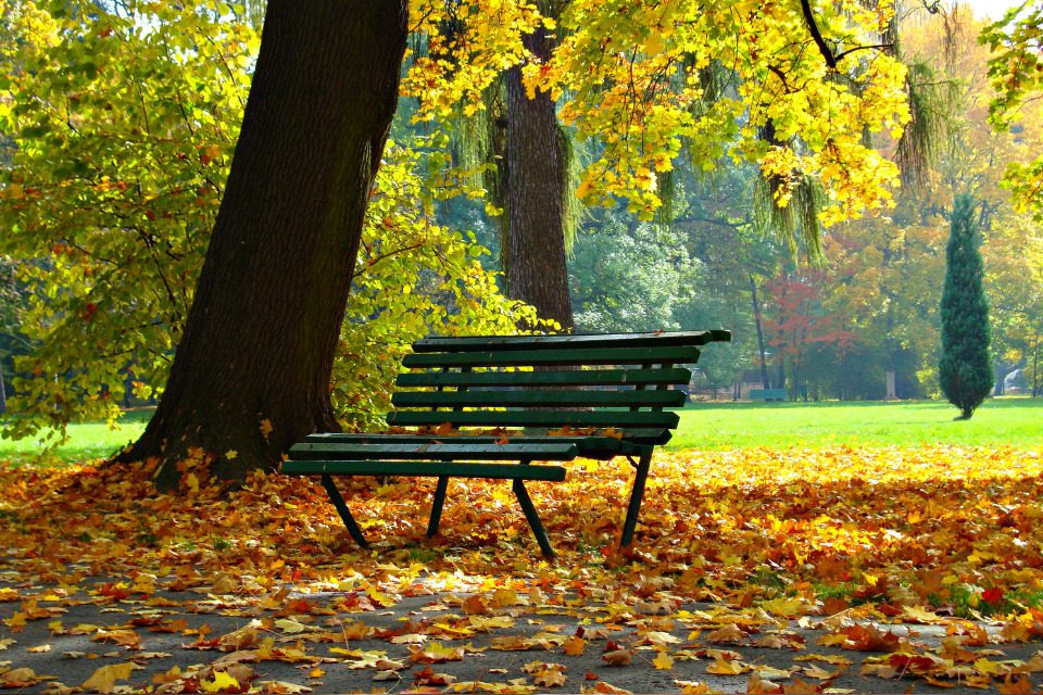 The Green Bay Guide: The area’s 3 best parks, according to our readers
