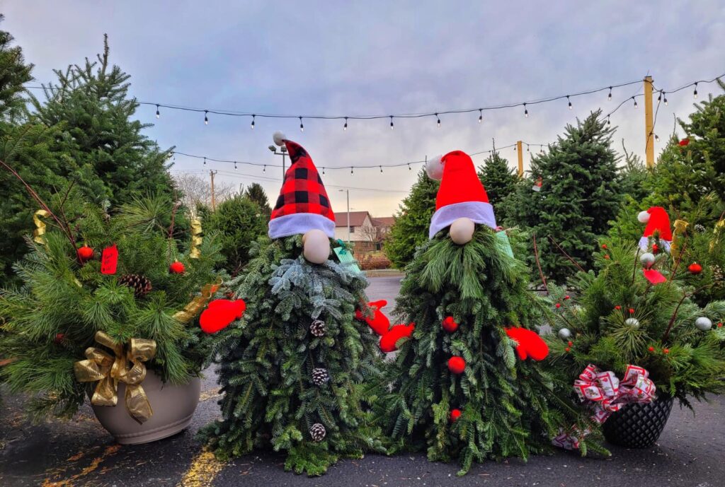 Hallmark Christmas scenes come alive at Inspiration Acres