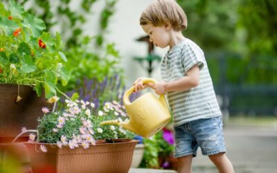 Everything you need to know about container gardening in Wisconsin