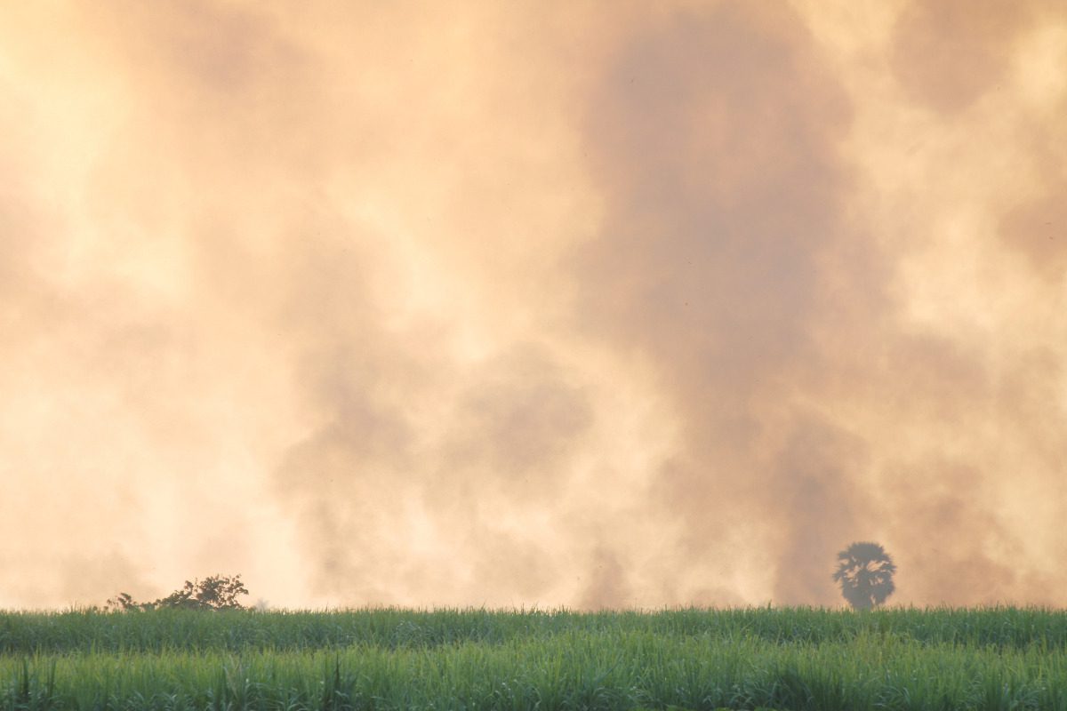 Opinion: Facing the climate crisis Opinion: Facing the climate crisis