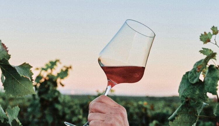Follow the Great River Road Wine Trail for spectacular vineyards & views Follow the Great River Road Wine Trail for spectacular vineyards & views
