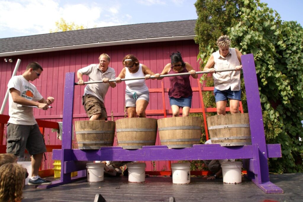In Milwaukee-area communities, there are a plethora of activities with fall vibes.